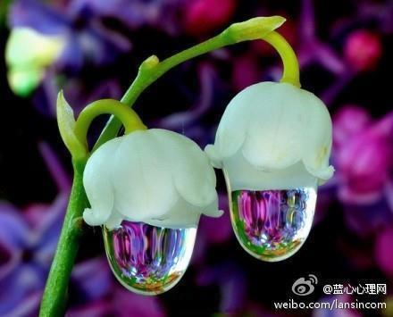 相似