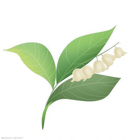 王庄