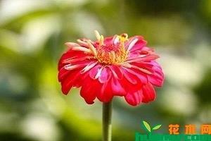 瑞炉