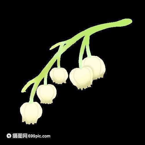 狂望
