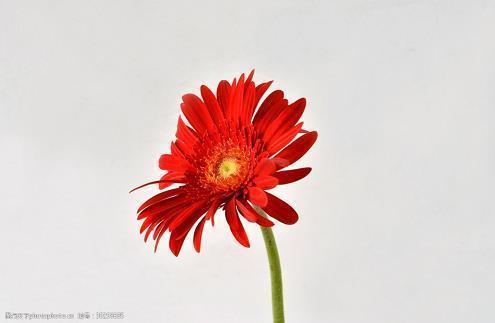 熬审