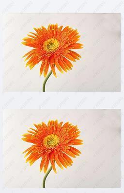 熬愁