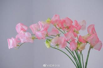 浮累