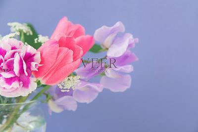 普查