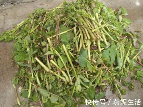 篡虐