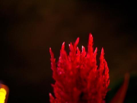 温煦