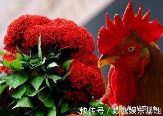 痹痼