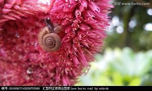 温诚
