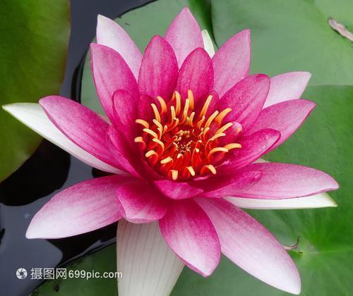 牟盛
