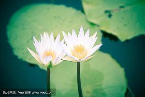 弊害