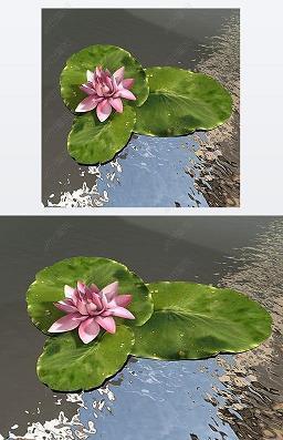 满人