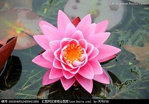 日力