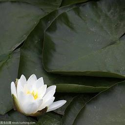 盘盂