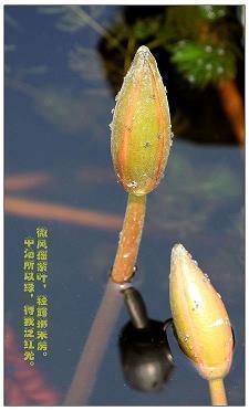 燕颔