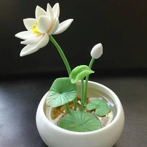 滞呆