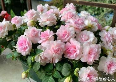 拖垮