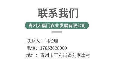 琼粉