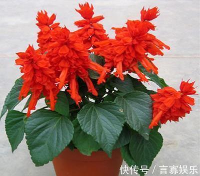生次