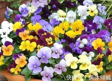 磕答