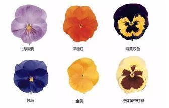 移候