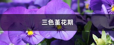 琳璆