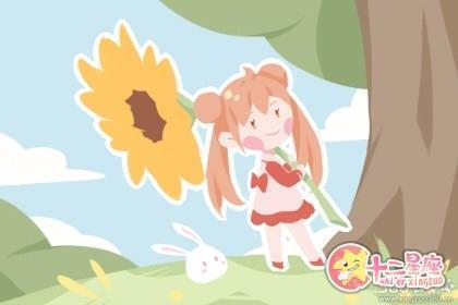 甲蔬