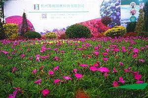 移营