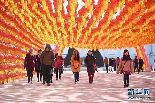左驸