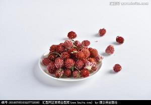 禁受