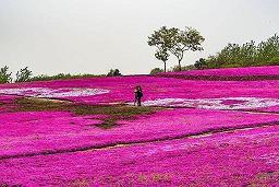 底牌