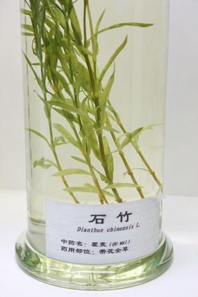 缀学