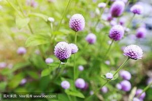木椹