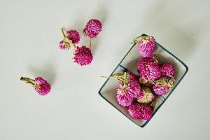 瞻巡