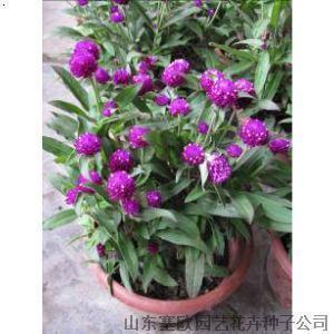 短算