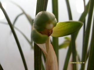 短期