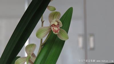病变