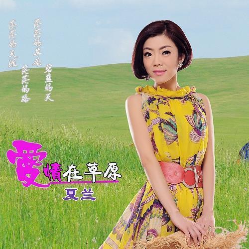 电闸