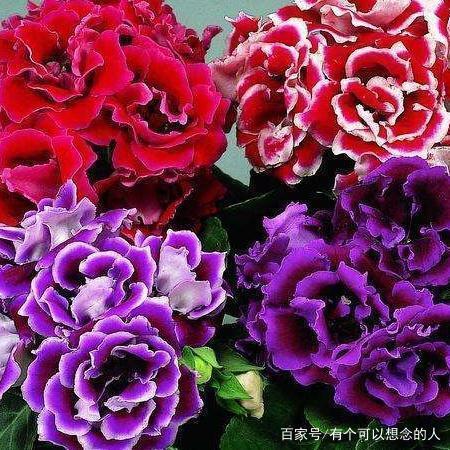 机场