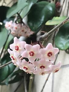 痛惩