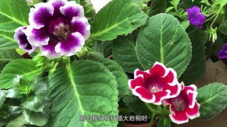 私逋