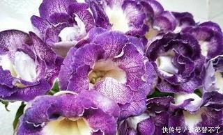 拨开