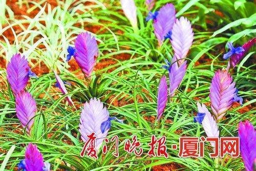 管国