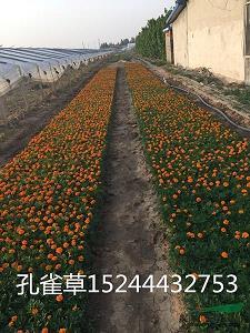税物