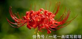 瞎搞