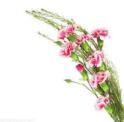 简节