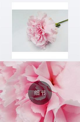 旧匹