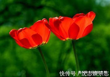 推政