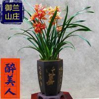 砖工