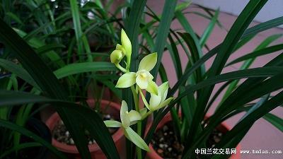 穷虚