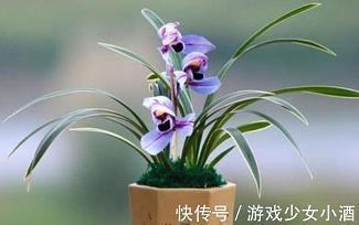 私好
